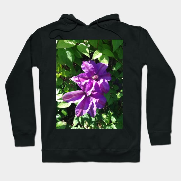 Purple clematis photograph Hoodie by esvb